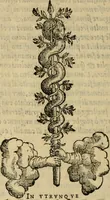 An illustration from Ordini di cavalcare (1571)