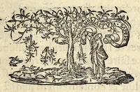 Picture 1 of 2 from Ordonnance du Roy svr l'abbreviation des proces, et consignation de certaine somme de deniers par ceux qui plaideront. Publié en la Cour de Parlement a Paris, le treizieme iour de mois de Decebre 1563. [device]. (1563), leaf 5