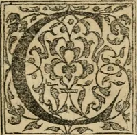 An illustration from Ordre de la réception & entrée, de Henry de Valois, treschrestien roy de France & de Pologne, en la riche & florissante ville de Venise, par l'illustriss. duc, & seigneurie d'icelle: avec les noms des princes accompagnans sa Maiesté, & autres particularitez (1574)