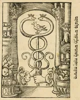 An illustration from Ori Apollinis niliaci Hieroglyphica (1518)
