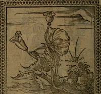 Picture 78 of 375 from Ori Apollinis Niliaci, De sacris Aegyptiorum notis, Aegyptiacè expressis : libri duo, iconibus illustrati, & aucti : nunc primùm in latinum ac gallicum sermonem conversi (1574), leaf 109