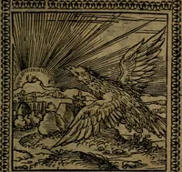 Picture 84 of 375 from Ori Apollinis Niliaci, De sacris Aegyptiorum notis, Aegyptiacè expressis : libri duo, iconibus illustrati, & aucti : nunc primùm in latinum ac gallicum sermonem conversi (1574), leaf 116