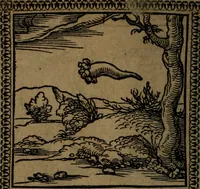 Picture 87 of 375 from Ori Apollinis Niliaci, De sacris Aegyptiorum notis, Aegyptiacè expressis : libri duo, iconibus illustrati, & aucti : nunc primùm in latinum ac gallicum sermonem conversi (1574), leaf 119