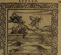 Picture 90 of 375 from Ori Apollinis Niliaci, De sacris Aegyptiorum notis, Aegyptiacè expressis : libri duo, iconibus illustrati, & aucti : nunc primùm in latinum ac gallicum sermonem conversi (1574), leaf 122