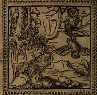 Picture 91 of 375 from Ori Apollinis Niliaci, De sacris Aegyptiorum notis, Aegyptiacè expressis : libri duo, iconibus illustrati, & aucti : nunc primùm in latinum ac gallicum sermonem conversi (1574), leaf 123