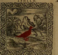 Picture 97 of 375 from Ori Apollinis Niliaci, De sacris Aegyptiorum notis, Aegyptiacè expressis : libri duo, iconibus illustrati, & aucti : nunc primùm in latinum ac gallicum sermonem conversi (1574), leaf 130
