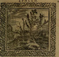 Picture 99 of 375 from Ori Apollinis Niliaci, De sacris Aegyptiorum notis, Aegyptiacè expressis : libri duo, iconibus illustrati, & aucti : nunc primùm in latinum ac gallicum sermonem conversi (1574), leaf 132