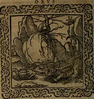 Picture 100 of 375 from Ori Apollinis Niliaci, De sacris Aegyptiorum notis, Aegyptiacè expressis : libri duo, iconibus illustrati, & aucti : nunc primùm in latinum ac gallicum sermonem conversi (1574), leaf 133