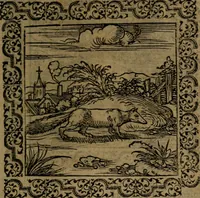 Picture 101 of 375 from Ori Apollinis Niliaci, De sacris Aegyptiorum notis, Aegyptiacè expressis : libri duo, iconibus illustrati, & aucti : nunc primùm in latinum ac gallicum sermonem conversi (1574), leaf 134