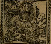 Picture 103 of 375 from Ori Apollinis Niliaci, De sacris Aegyptiorum notis, Aegyptiacè expressis : libri duo, iconibus illustrati, & aucti : nunc primùm in latinum ac gallicum sermonem conversi (1574), leaf 136