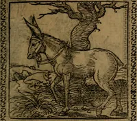 Picture 107 of 375 from Ori Apollinis Niliaci, De sacris Aegyptiorum notis, Aegyptiacè expressis : libri duo, iconibus illustrati, & aucti : nunc primùm in latinum ac gallicum sermonem conversi (1574), leaf 140