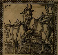 Picture 108 of 375 from Ori Apollinis Niliaci, De sacris Aegyptiorum notis, Aegyptiacè expressis : libri duo, iconibus illustrati, & aucti : nunc primùm in latinum ac gallicum sermonem conversi (1574), leaf 141