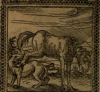 Picture 110 of 375 from Ori Apollinis Niliaci, De sacris Aegyptiorum notis, Aegyptiacè expressis : libri duo, iconibus illustrati, & aucti : nunc primùm in latinum ac gallicum sermonem conversi (1574), leaf 143