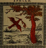 Picture 111 of 375 from Ori Apollinis Niliaci, De sacris Aegyptiorum notis, Aegyptiacè expressis : libri duo, iconibus illustrati, & aucti : nunc primùm in latinum ac gallicum sermonem conversi (1574), leaf 144