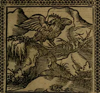 Picture 121 of 375 from Ori Apollinis Niliaci, De sacris Aegyptiorum notis, Aegyptiacè expressis : libri duo, iconibus illustrati, & aucti : nunc primùm in latinum ac gallicum sermonem conversi (1574), leaf 154
