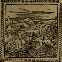 Picture 123 of 375 from Ori Apollinis Niliaci, De sacris Aegyptiorum notis, Aegyptiacè expressis : libri duo, iconibus illustrati, & aucti : nunc primùm in latinum ac gallicum sermonem conversi (1574), leaf 156