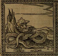 Picture 124 of 375 from Ori Apollinis Niliaci, De sacris Aegyptiorum notis, Aegyptiacè expressis : libri duo, iconibus illustrati, & aucti : nunc primùm in latinum ac gallicum sermonem conversi (1574), leaf 157