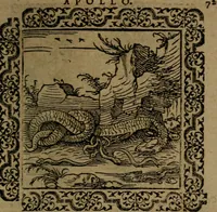 Picture 125 of 375 from Ori Apollinis Niliaci, De sacris Aegyptiorum notis, Aegyptiacè expressis : libri duo, iconibus illustrati, & aucti : nunc primùm in latinum ac gallicum sermonem conversi (1574), leaf 158