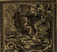 Picture 126 of 375 from Ori Apollinis Niliaci, De sacris Aegyptiorum notis, Aegyptiacè expressis : libri duo, iconibus illustrati, & aucti : nunc primùm in latinum ac gallicum sermonem conversi (1574), leaf 159