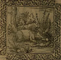 Picture 128 of 375 from Ori Apollinis Niliaci, De sacris Aegyptiorum notis, Aegyptiacè expressis : libri duo, iconibus illustrati, & aucti : nunc primùm in latinum ac gallicum sermonem conversi (1574), leaf 161
