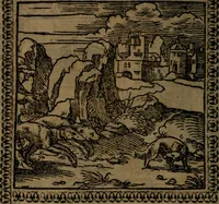 Picture 130 of 375 from Ori Apollinis Niliaci, De sacris Aegyptiorum notis, Aegyptiacè expressis : libri duo, iconibus illustrati, & aucti : nunc primùm in latinum ac gallicum sermonem conversi (1574), leaf 163