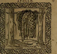 Picture 135 of 375 from Ori Apollinis Niliaci, De sacris Aegyptiorum notis, Aegyptiacè expressis : libri duo, iconibus illustrati, & aucti : nunc primùm in latinum ac gallicum sermonem conversi (1574), leaf 168