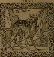 Picture 136 of 375 from Ori Apollinis Niliaci, De sacris Aegyptiorum notis, Aegyptiacè expressis : libri duo, iconibus illustrati, & aucti : nunc primùm in latinum ac gallicum sermonem conversi (1574), leaf 169