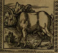 Picture 141 of 375 from Ori Apollinis Niliaci, De sacris Aegyptiorum notis, Aegyptiacè expressis : libri duo, iconibus illustrati, & aucti : nunc primùm in latinum ac gallicum sermonem conversi (1574), leaf 174
