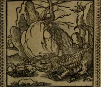 Picture 143 of 375 from Ori Apollinis Niliaci, De sacris Aegyptiorum notis, Aegyptiacè expressis : libri duo, iconibus illustrati, & aucti : nunc primùm in latinum ac gallicum sermonem conversi (1574), leaf 176
