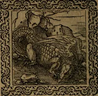 Picture 144 of 375 from Ori Apollinis Niliaci, De sacris Aegyptiorum notis, Aegyptiacè expressis : libri duo, iconibus illustrati, & aucti : nunc primùm in latinum ac gallicum sermonem conversi (1574), leaf 177