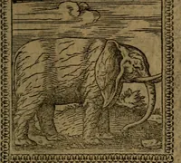 An illustration from Ori Apollinis Niliaci, De sacris Aegyptiorum notis, Aegyptiacè expressis : libri duo, iconibus illustrati, & aucti : nunc primùm in latinum ac gallicum sermonem conversi (1574)