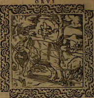 Picture 148 of 375 from Ori Apollinis Niliaci, De sacris Aegyptiorum notis, Aegyptiacè expressis : libri duo, iconibus illustrati, & aucti : nunc primùm in latinum ac gallicum sermonem conversi (1574), leaf 181