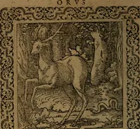 Picture 150 of 375 from Ori Apollinis Niliaci, De sacris Aegyptiorum notis, Aegyptiacè expressis : libri duo, iconibus illustrati, & aucti : nunc primùm in latinum ac gallicum sermonem conversi (1574), leaf 183