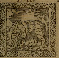 Picture 151 of 375 from Ori Apollinis Niliaci, De sacris Aegyptiorum notis, Aegyptiacè expressis : libri duo, iconibus illustrati, & aucti : nunc primùm in latinum ac gallicum sermonem conversi (1574), leaf 184