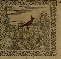 Picture 155 of 375 from Ori Apollinis Niliaci, De sacris Aegyptiorum notis, Aegyptiacè expressis : libri duo, iconibus illustrati, & aucti : nunc primùm in latinum ac gallicum sermonem conversi (1574), leaf 188