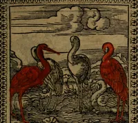 Picture 157 of 375 from Ori Apollinis Niliaci, De sacris Aegyptiorum notis, Aegyptiacè expressis : libri duo, iconibus illustrati, & aucti : nunc primùm in latinum ac gallicum sermonem conversi (1574), leaf 190