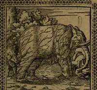 Picture 162 of 375 from Ori Apollinis Niliaci, De sacris Aegyptiorum notis, Aegyptiacè expressis : libri duo, iconibus illustrati, & aucti : nunc primùm in latinum ac gallicum sermonem conversi (1574), leaf 196