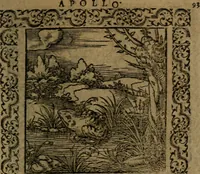 Picture 164 of 375 from Ori Apollinis Niliaci, De sacris Aegyptiorum notis, Aegyptiacè expressis : libri duo, iconibus illustrati, & aucti : nunc primùm in latinum ac gallicum sermonem conversi (1574), leaf 198