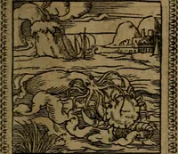 Picture 168 of 375 from Ori Apollinis Niliaci, De sacris Aegyptiorum notis, Aegyptiacè expressis : libri duo, iconibus illustrati, & aucti : nunc primùm in latinum ac gallicum sermonem conversi (1574), leaf 202