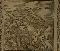 Picture 179 of 375 from Ori Apollinis Niliaci, De sacris Aegyptiorum notis, Aegyptiacè expressis : libri duo, iconibus illustrati, & aucti : nunc primùm in latinum ac gallicum sermonem conversi (1574), leaf 213