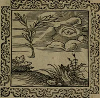 Picture 8 of 375 from Ori Apollinis Niliaci, De sacris Aegyptiorum notis, Aegyptiacè expressis : libri duo, iconibus illustrati, & aucti : nunc primùm in latinum ac gallicum sermonem conversi (1574), leaf 24