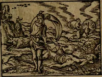 Picture 209 of 375 from Ori Apollinis Niliaci, De sacris Aegyptiorum notis, Aegyptiacè expressis : libri duo, iconibus illustrati, & aucti : nunc primùm in latinum ac gallicum sermonem conversi (1574), leaf 260