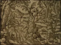 Picture 223 of 375 from Ori Apollinis Niliaci, De sacris Aegyptiorum notis, Aegyptiacè expressis : libri duo, iconibus illustrati, & aucti : nunc primùm in latinum ac gallicum sermonem conversi (1574), leaf 279