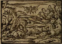 Picture 232 of 375 from Ori Apollinis Niliaci, De sacris Aegyptiorum notis, Aegyptiacè expressis : libri duo, iconibus illustrati, & aucti : nunc primùm in latinum ac gallicum sermonem conversi (1574), leaf 295