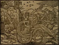 Picture 237 of 375 from Ori Apollinis Niliaci, De sacris Aegyptiorum notis, Aegyptiacè expressis : libri duo, iconibus illustrati, & aucti : nunc primùm in latinum ac gallicum sermonem conversi (1574), leaf 309