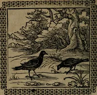 Picture 12 of 375 from Ori Apollinis Niliaci, De sacris Aegyptiorum notis, Aegyptiacè expressis : libri duo, iconibus illustrati, & aucti : nunc primùm in latinum ac gallicum sermonem conversi (1574), leaf 31