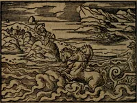 Picture 244 of 375 from Ori Apollinis Niliaci, De sacris Aegyptiorum notis, Aegyptiacè expressis : libri duo, iconibus illustrati, & aucti : nunc primùm in latinum ac gallicum sermonem conversi (1574), leaf 321