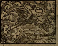 Picture 252 of 375 from Ori Apollinis Niliaci, De sacris Aegyptiorum notis, Aegyptiacè expressis : libri duo, iconibus illustrati, & aucti : nunc primùm in latinum ac gallicum sermonem conversi (1574), leaf 333