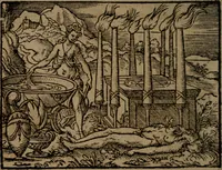 Picture 264 of 375 from Ori Apollinis Niliaci, De sacris Aegyptiorum notis, Aegyptiacè expressis : libri duo, iconibus illustrati, & aucti : nunc primùm in latinum ac gallicum sermonem conversi (1574), leaf 351