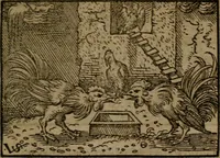 Picture 286 of 375 from Ori Apollinis Niliaci, De sacris Aegyptiorum notis, Aegyptiacè expressis : libri duo, iconibus illustrati, & aucti : nunc primùm in latinum ac gallicum sermonem conversi (1574), leaf 384